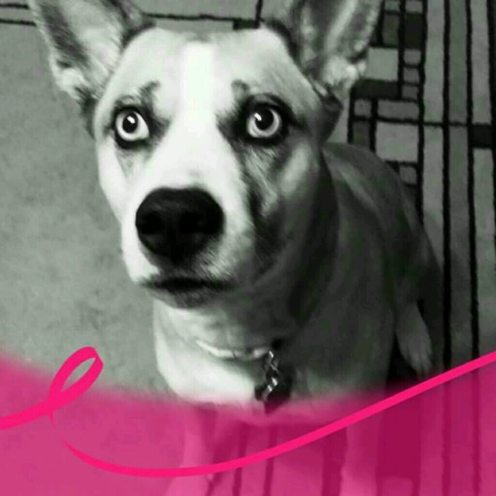 Meet your Posher, Kellee